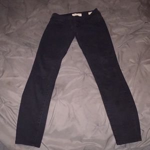 Women’s pants